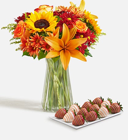 Fields of Europe® for Fall with Autumn Dipped Strawberries