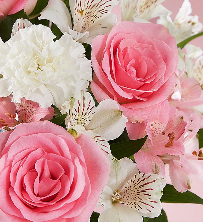 Deliciously Decadent™ Cherished Blooms & Celebration Cheesecake Bites™